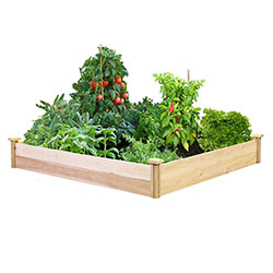 Buy Raised Bed Gardening Kit